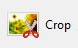 Crop pictures resize crop pictures to reduce size on disk